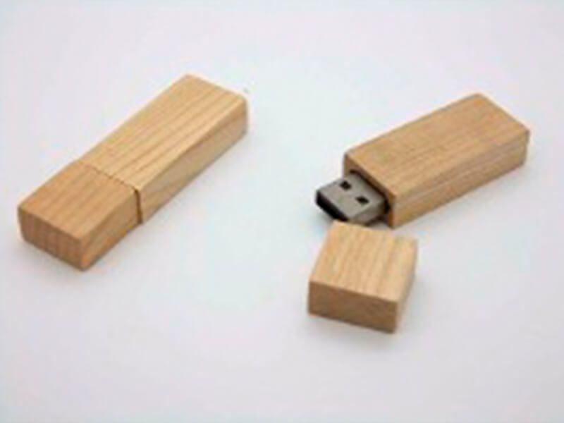 Pen Drive Ecológico 